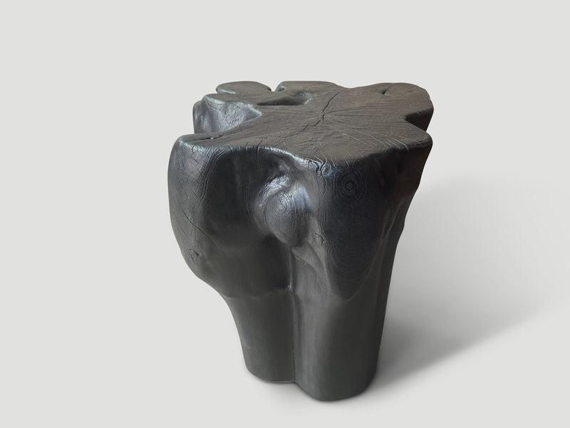 Sculptural Charred Teak Side Table or Pedestal
