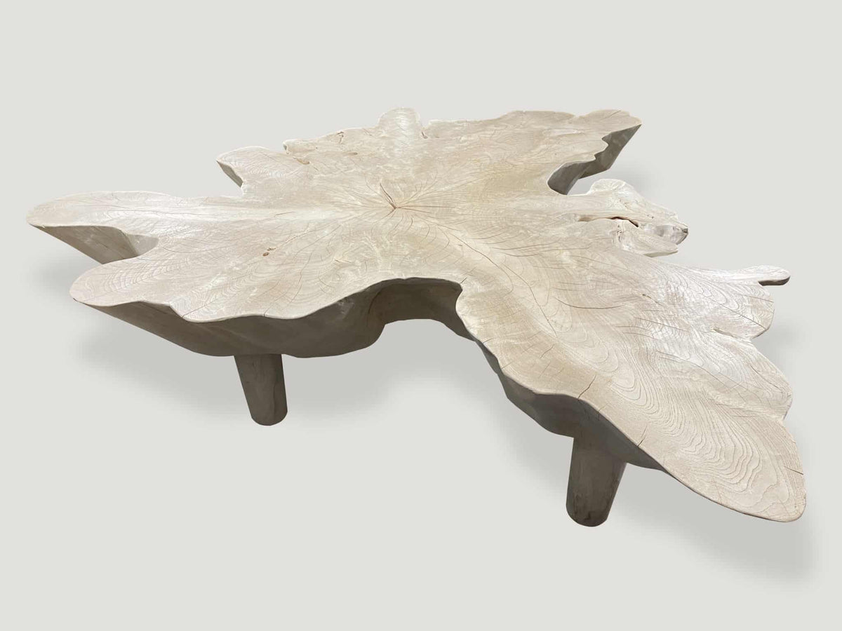 Amorphous Mid Century Style Bleached Coffee Table