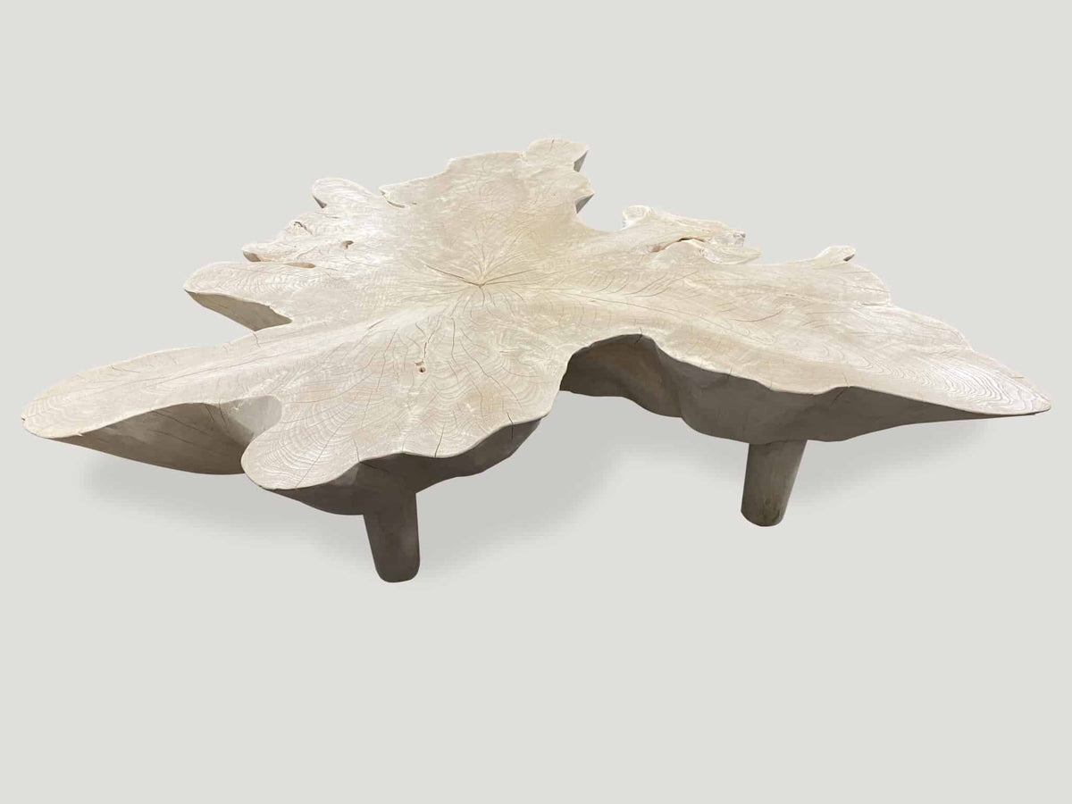 Amorphous Mid Century Style Bleached Coffee Table