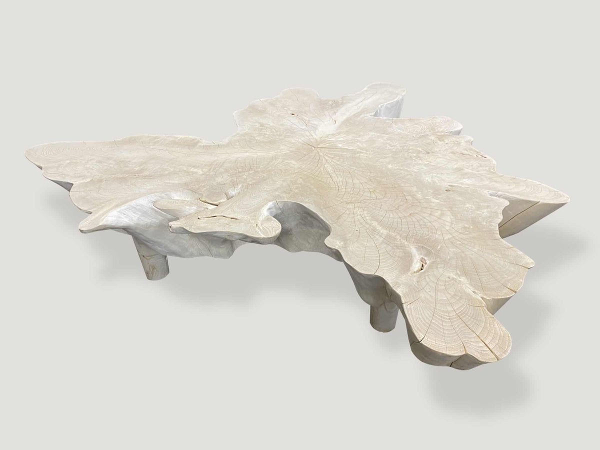 Amorphous Mid Century Style Bleached Coffee Table