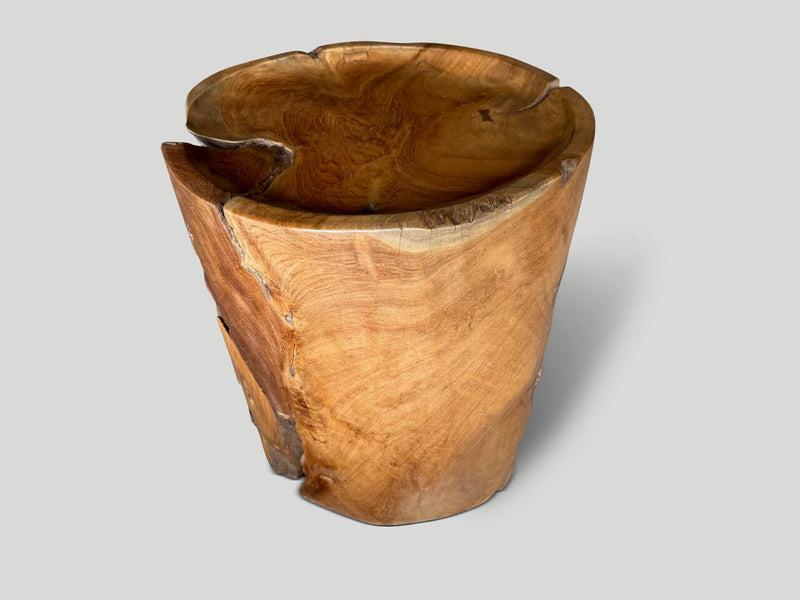 Large Sculptural Teak Wood Tray Side Table