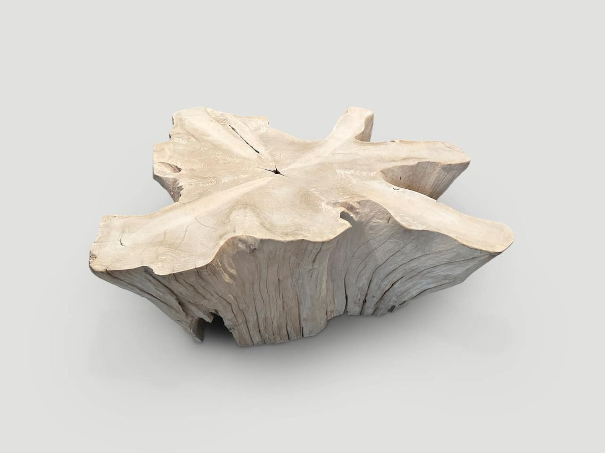 Amorphous Bleached Teak Coffee Table