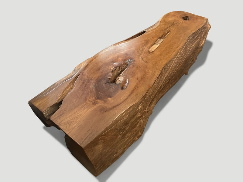 Monumental Organic Coffee Table or Bench
