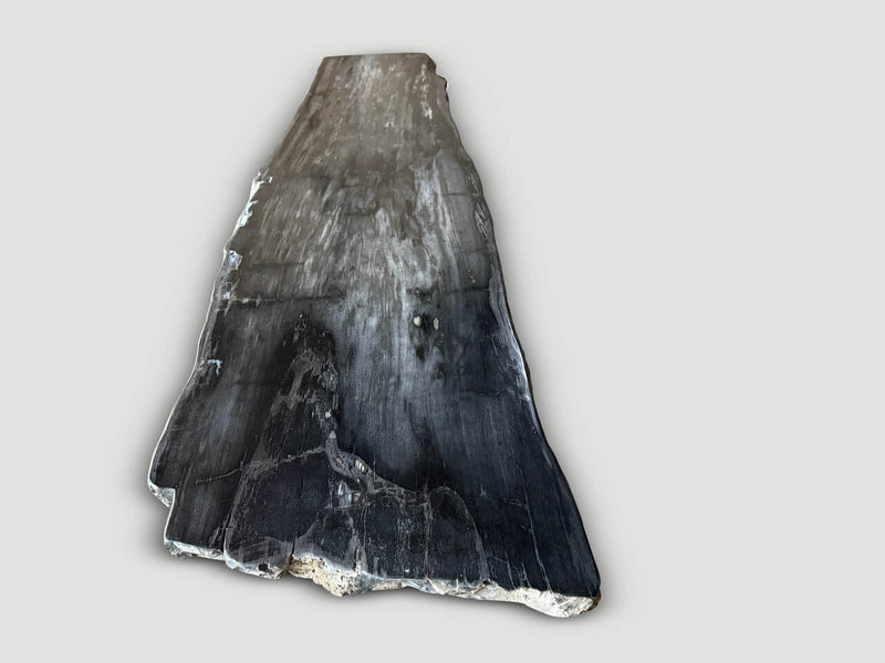 Exquisite High Quality Petrified Wood Dining Table Or Console Table