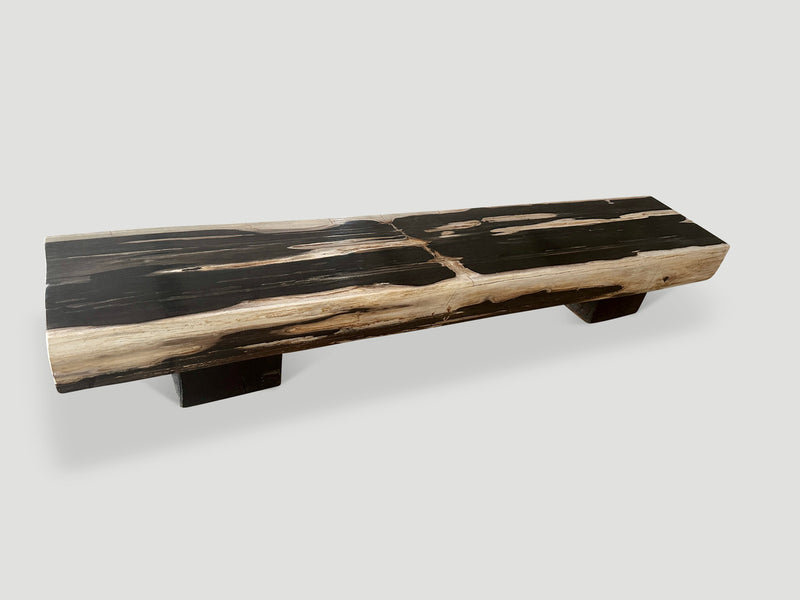 Impressive Petrified Wood Bench