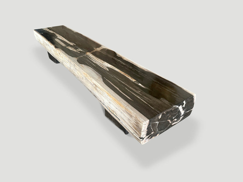 Impressive Petrified Wood Bench