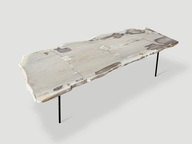 Minimalist Live Edge Petrified Wood Coffee Table