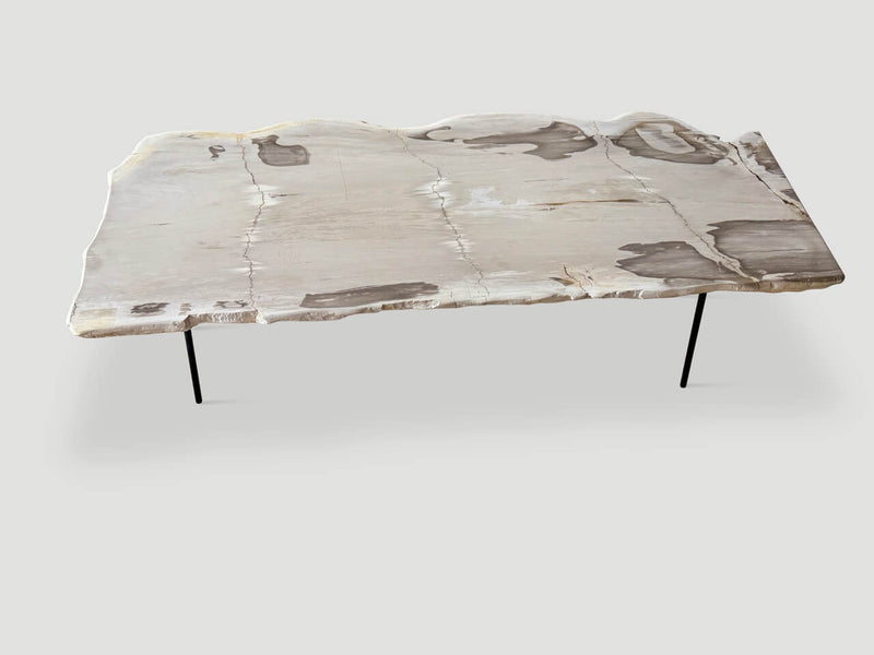Minimalist Live Edge Petrified Wood Coffee Table