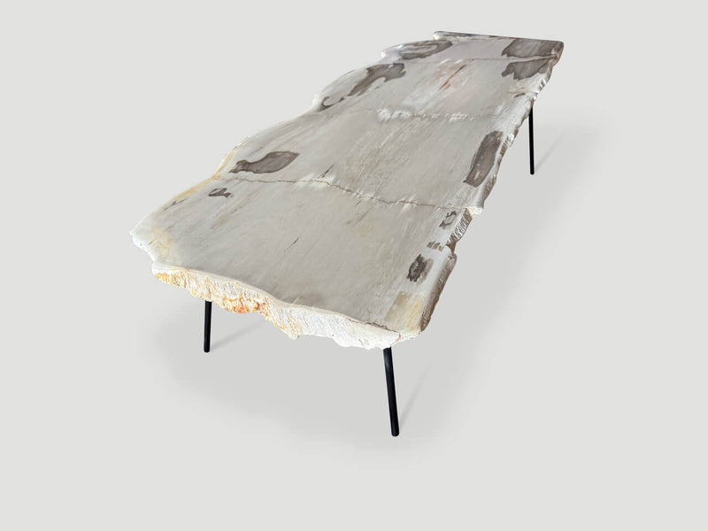 Minimalist Live Edge Petrified Wood Coffee Table