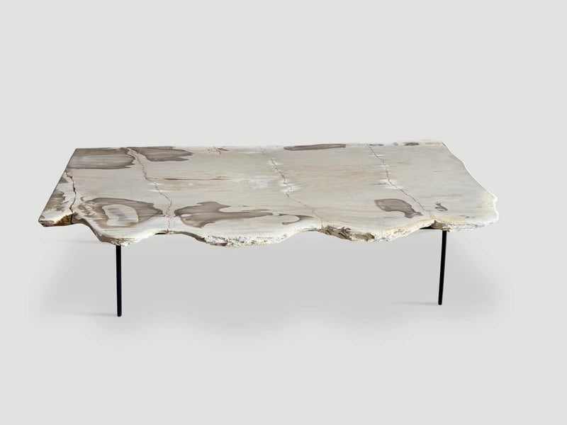 Minimalist Live Edge Petrified Wood Coffee Table