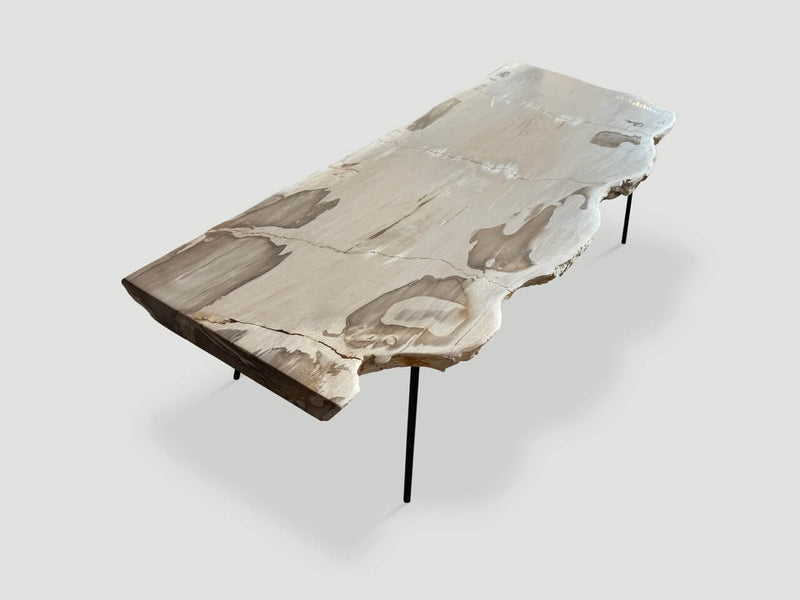 Minimalist Live Edge Petrified Wood Coffee Table