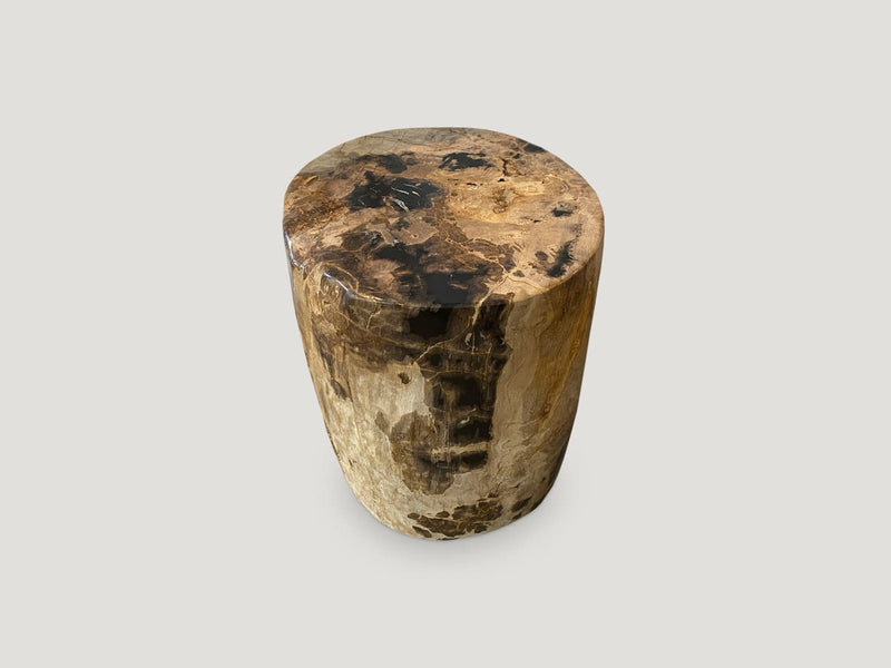 Impressive Tiger Toned High Quality Petrified Wood Side Table