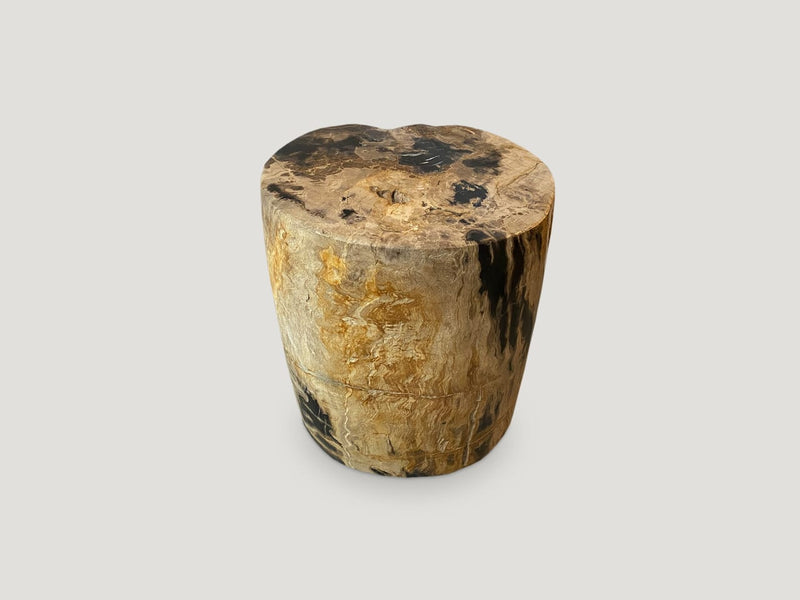Impressive Tiger Toned High Quality Petrified Wood Side Table