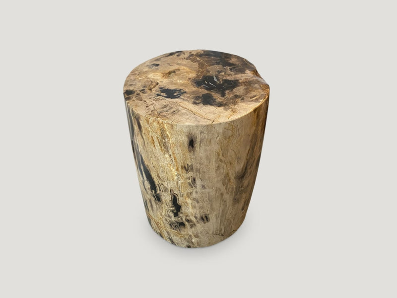 Impressive Tiger Toned High Quality Petrified Wood Side Table