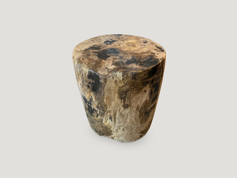 Impressive Tiger Toned High Quality Petrified Wood Side Table