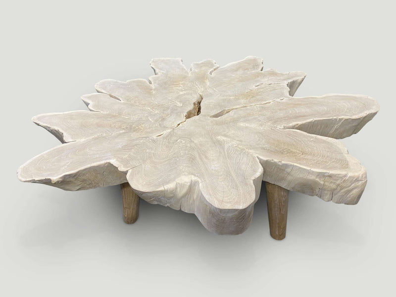 Amorphous Bleached Teak Organic Coffee Table