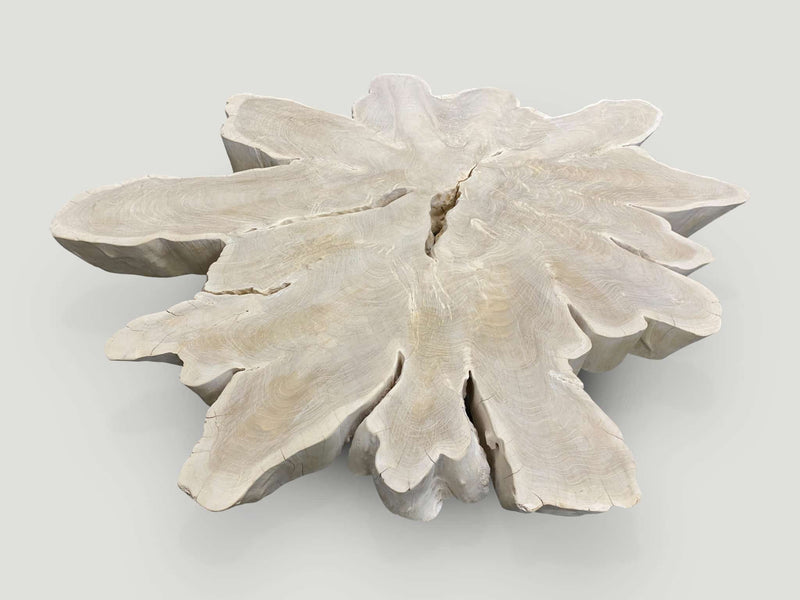 Amorphous Bleached Teak Organic Coffee Table