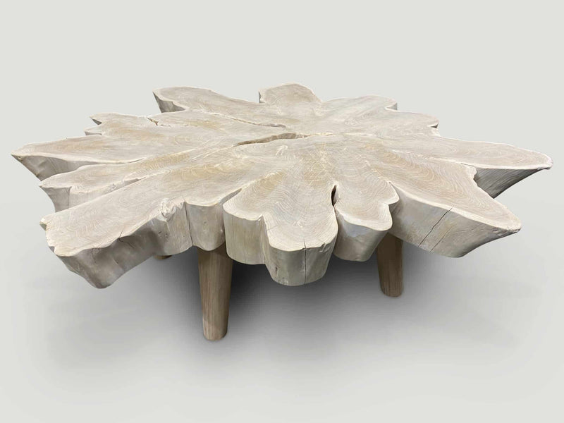 Amorphous Bleached Teak Organic Coffee Table