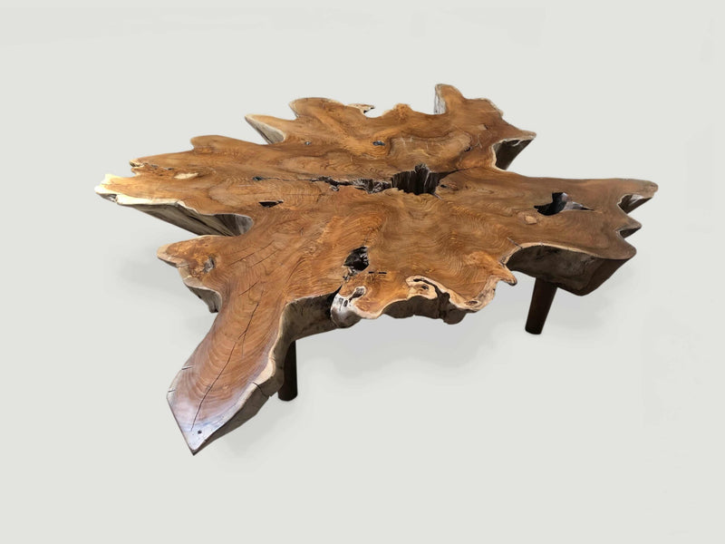 Organic Root Coffee Table