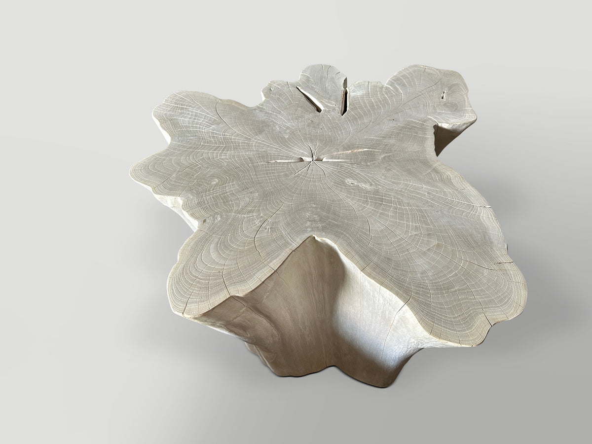 Amorphous Bleached Teak Coffee Table