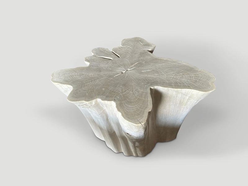 Amorphous Bleached Teak Coffee Table