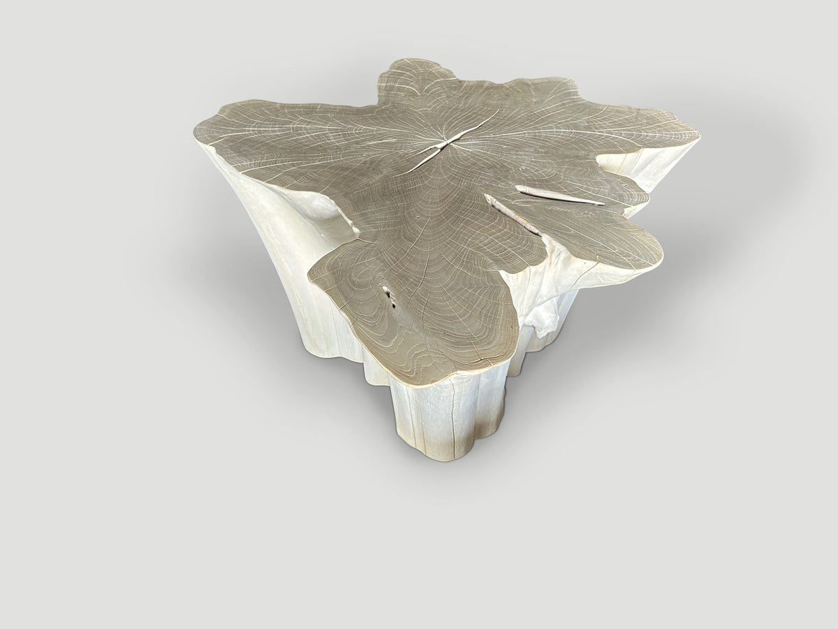 Amorphous Bleached Teak Coffee Table