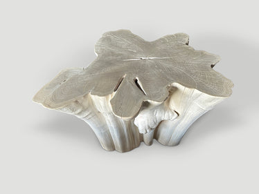 Amorphous Bleached Teak Coffee Table