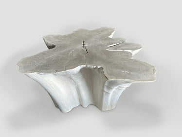 Amorphous Bleached Teak Coffee Table