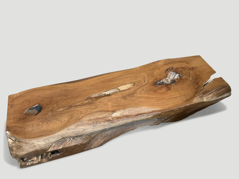 Monumental Organic Coffee Table or Bench