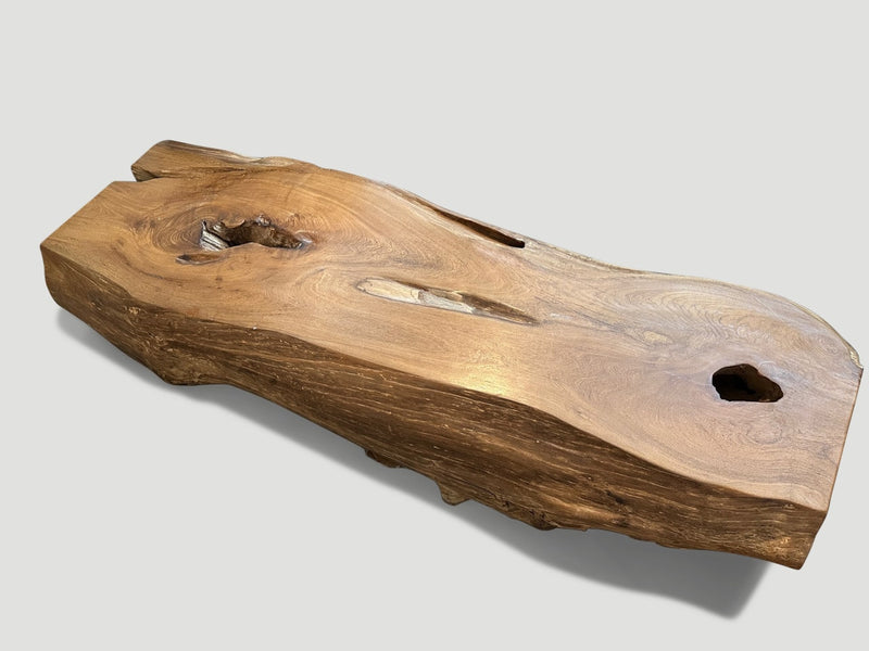 Monumental Organic Coffee Table or Bench