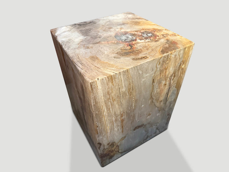 Petrified Wood Side Table With Cracked Resin