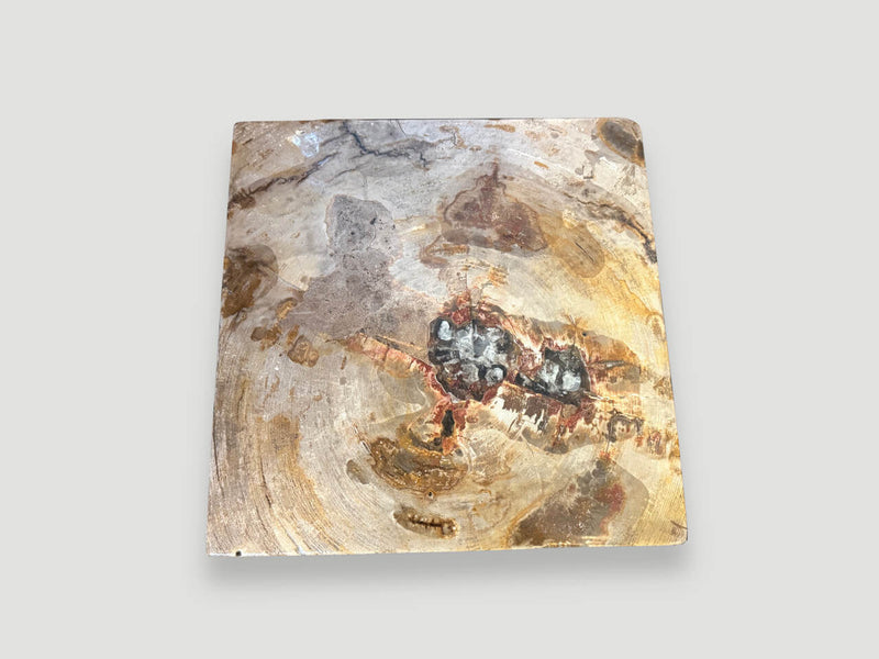 Petrified Wood Side Table With Cracked Resin