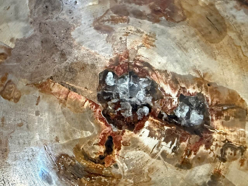 Petrified Wood Side Table With Cracked Resin