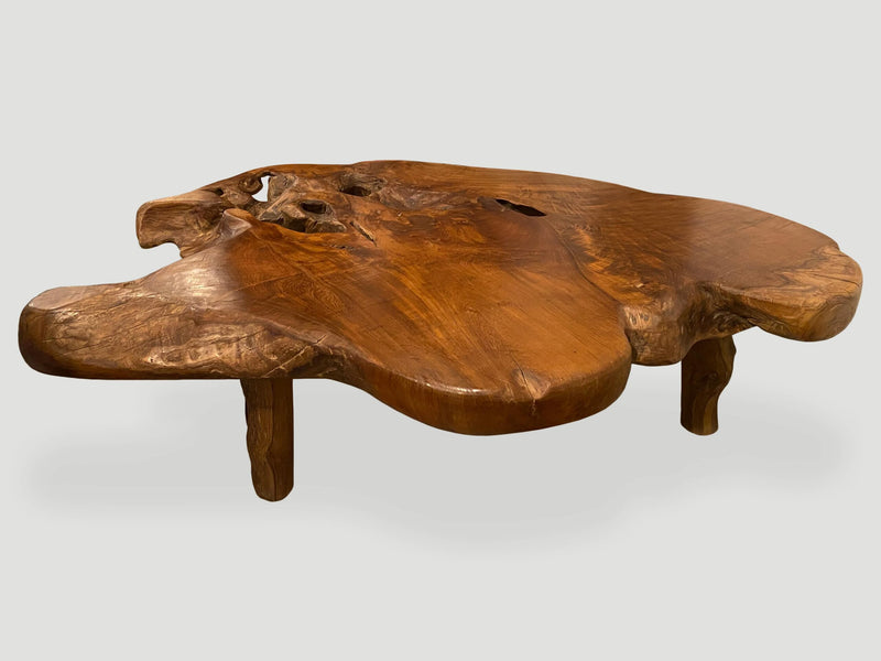 Organic Teak Root Coffee Table