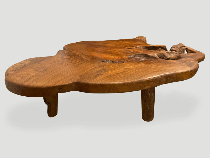 Organic Teak Root Coffee Table