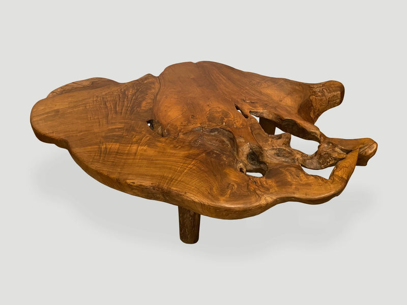 Organic Teak Root Coffee Table