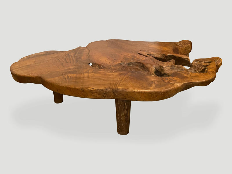Organic Teak Root Coffee Table