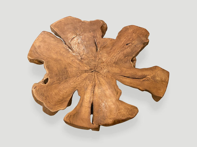 Organic Teak Root Coffee Table