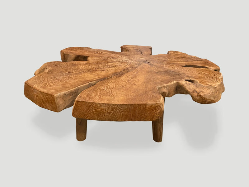 Organic Teak Root Coffee Table
