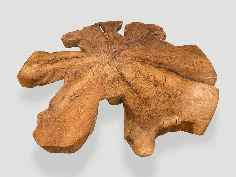 Organic Teak Root Coffee Table