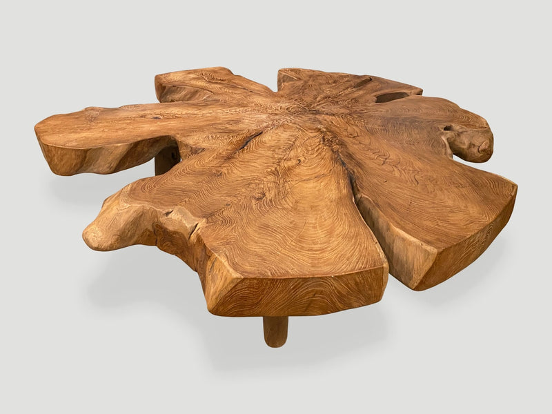 Organic Teak Root Coffee Table