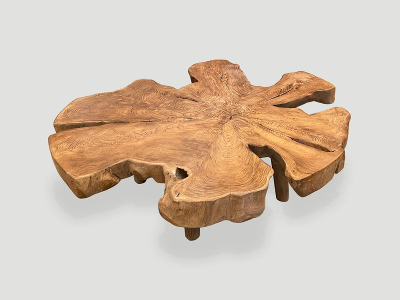 Organic Teak Root Coffee Table