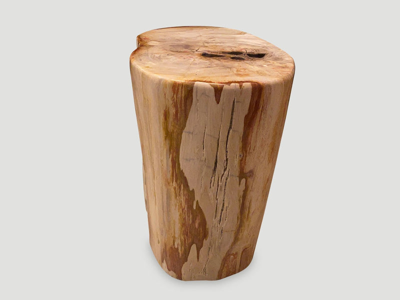 Coral Toned High Quality Petrified Wood Side Table