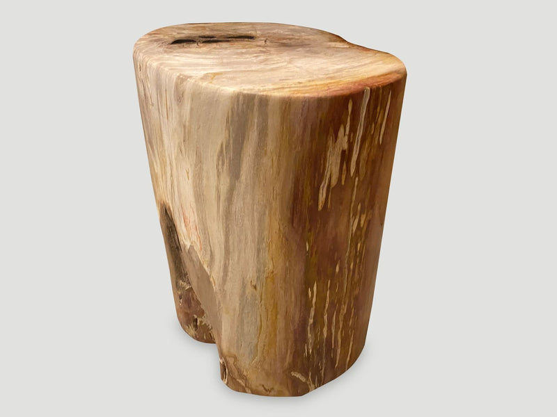 Coral Toned High Quality Petrified Wood Side Table