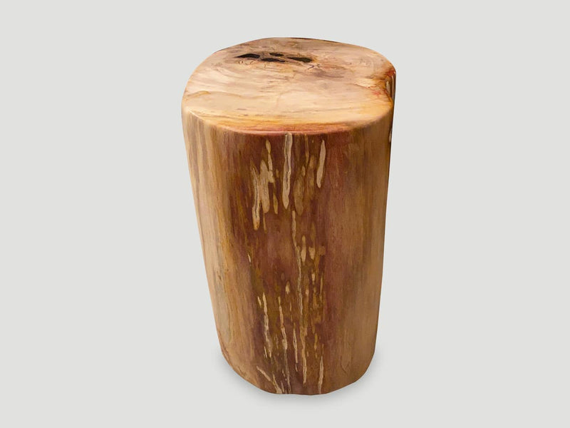 Coral Toned High Quality Petrified Wood Side Table
