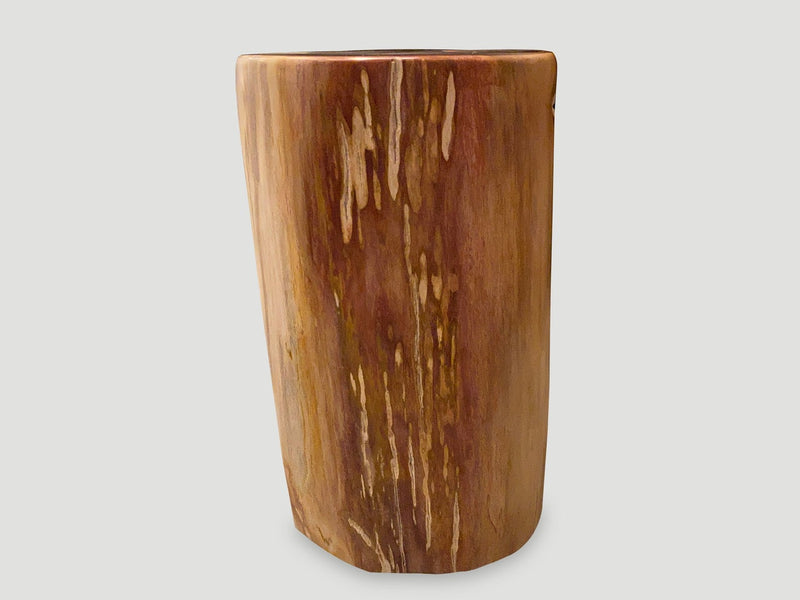 Coral Toned High Quality Petrified Wood Side Table