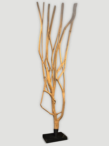 Impressive Monumental Ficus Tree Sculpture