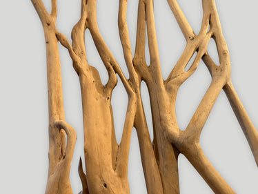 Impressive Monumental Ficus Tree Sculpture