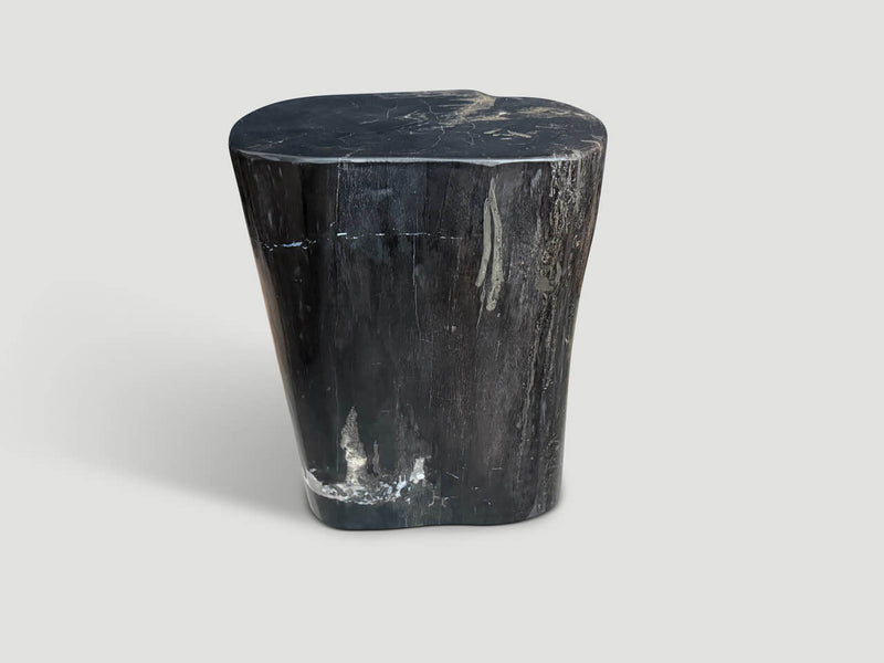 Impressive Ancient Petrified Wood Side Table