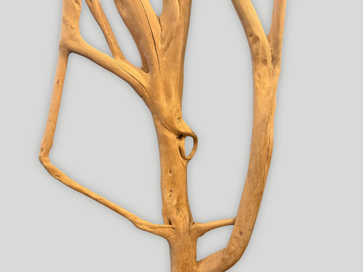 Impressive Monumental Ficus Tree Sculpture